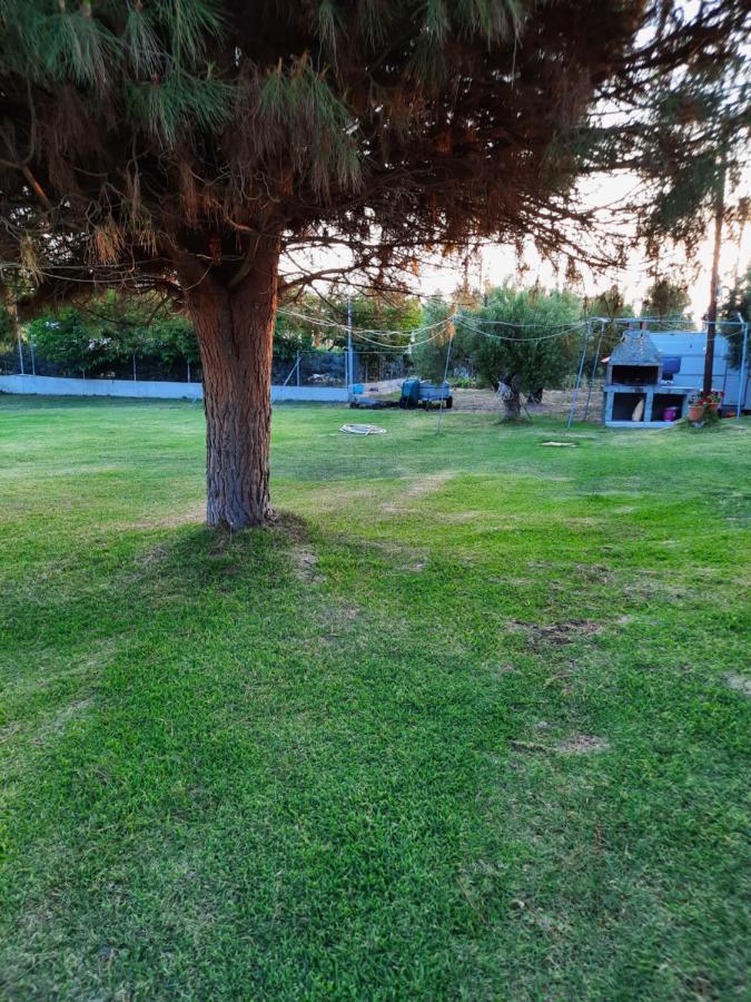 Bungalows Anestis Τορώνη Εξωτερικό φωτογραφία