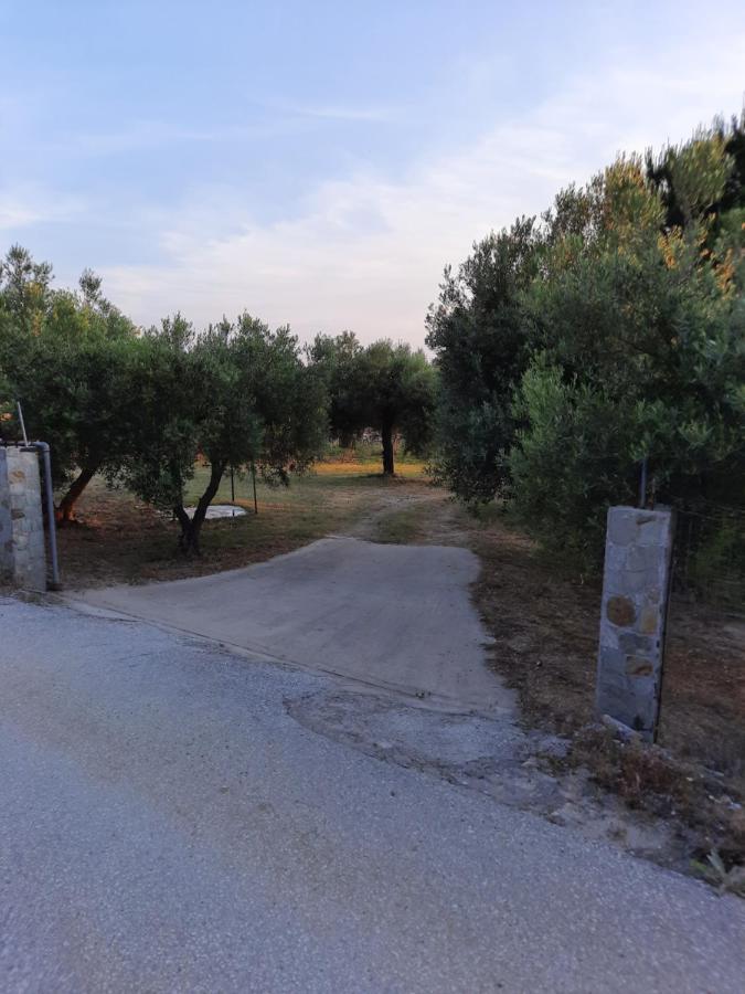 Bungalows Anestis Τορώνη Εξωτερικό φωτογραφία