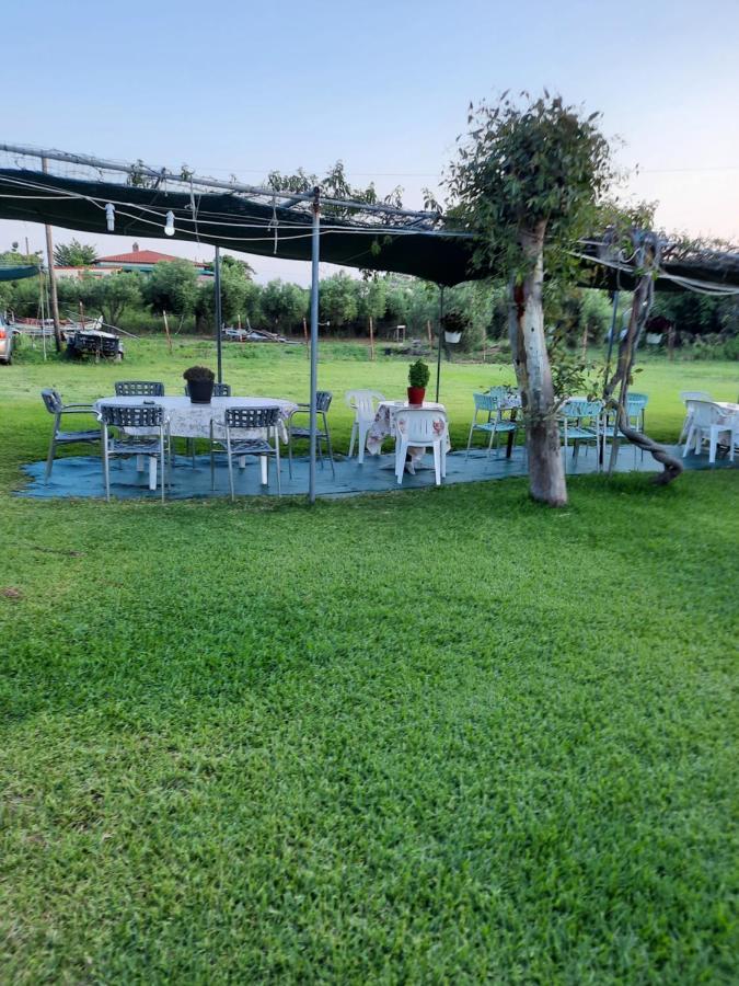 Bungalows Anestis Τορώνη Εξωτερικό φωτογραφία