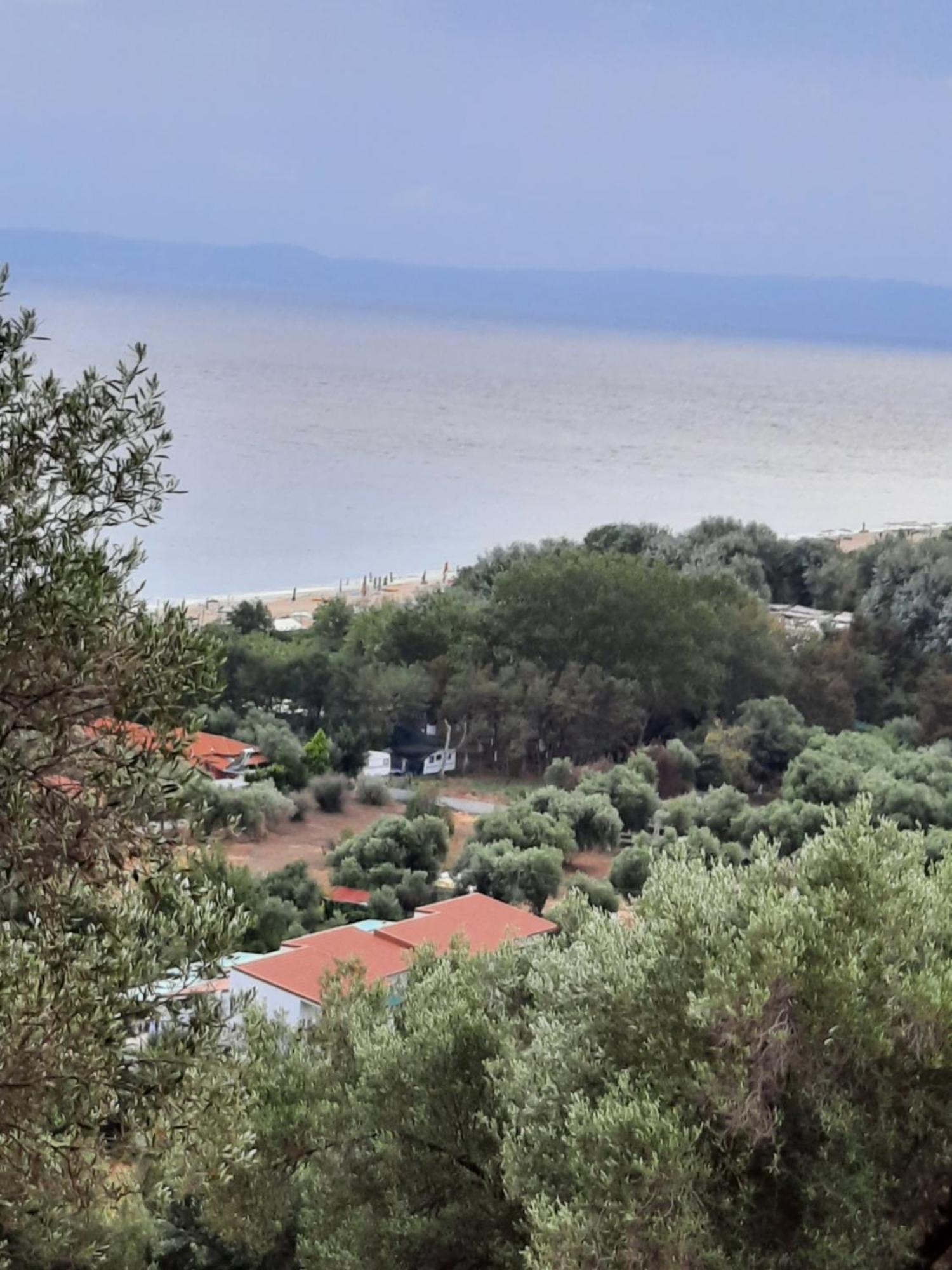Bungalows Anestis Τορώνη Εξωτερικό φωτογραφία
