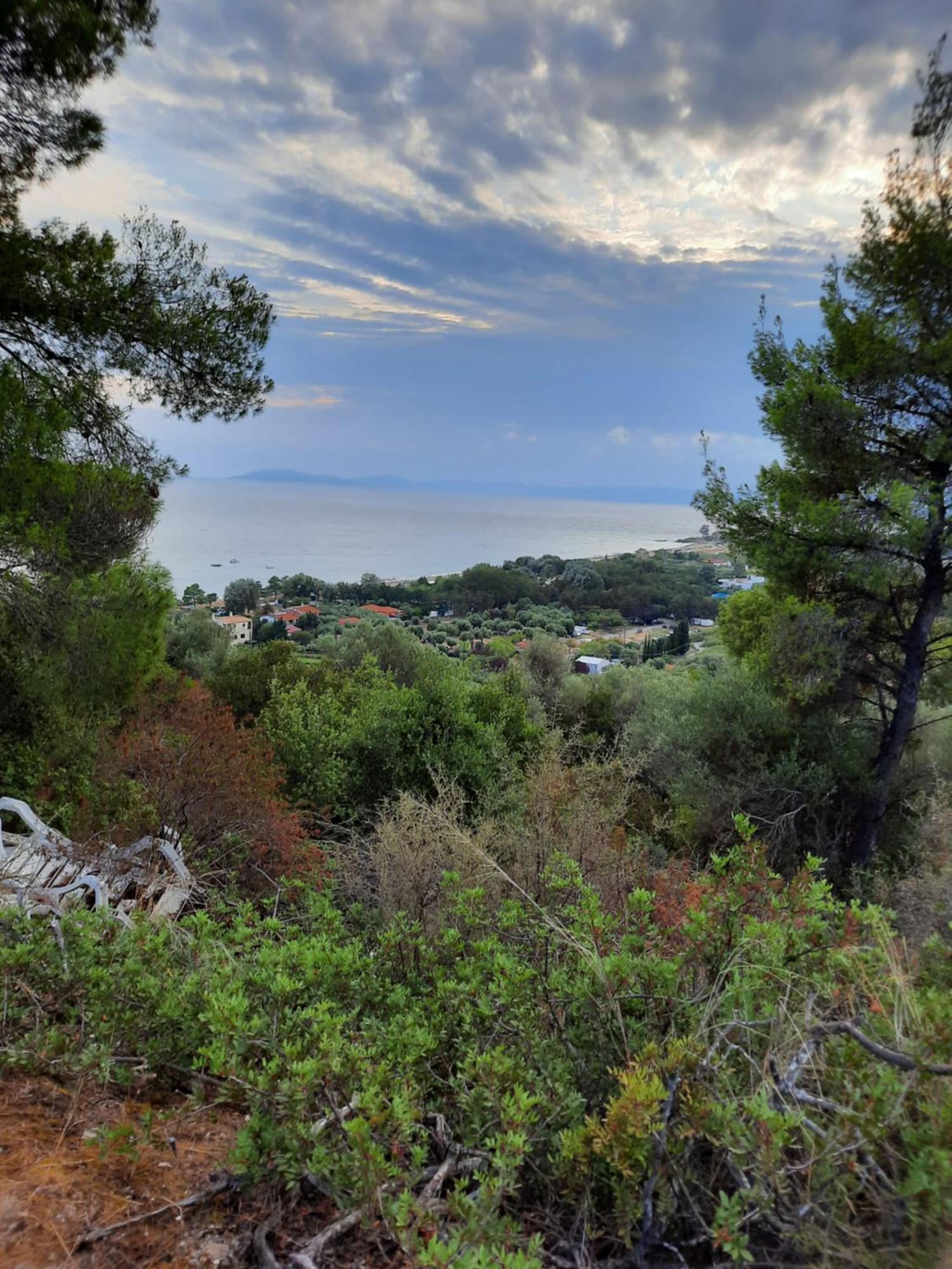 Bungalows Anestis Τορώνη Εξωτερικό φωτογραφία