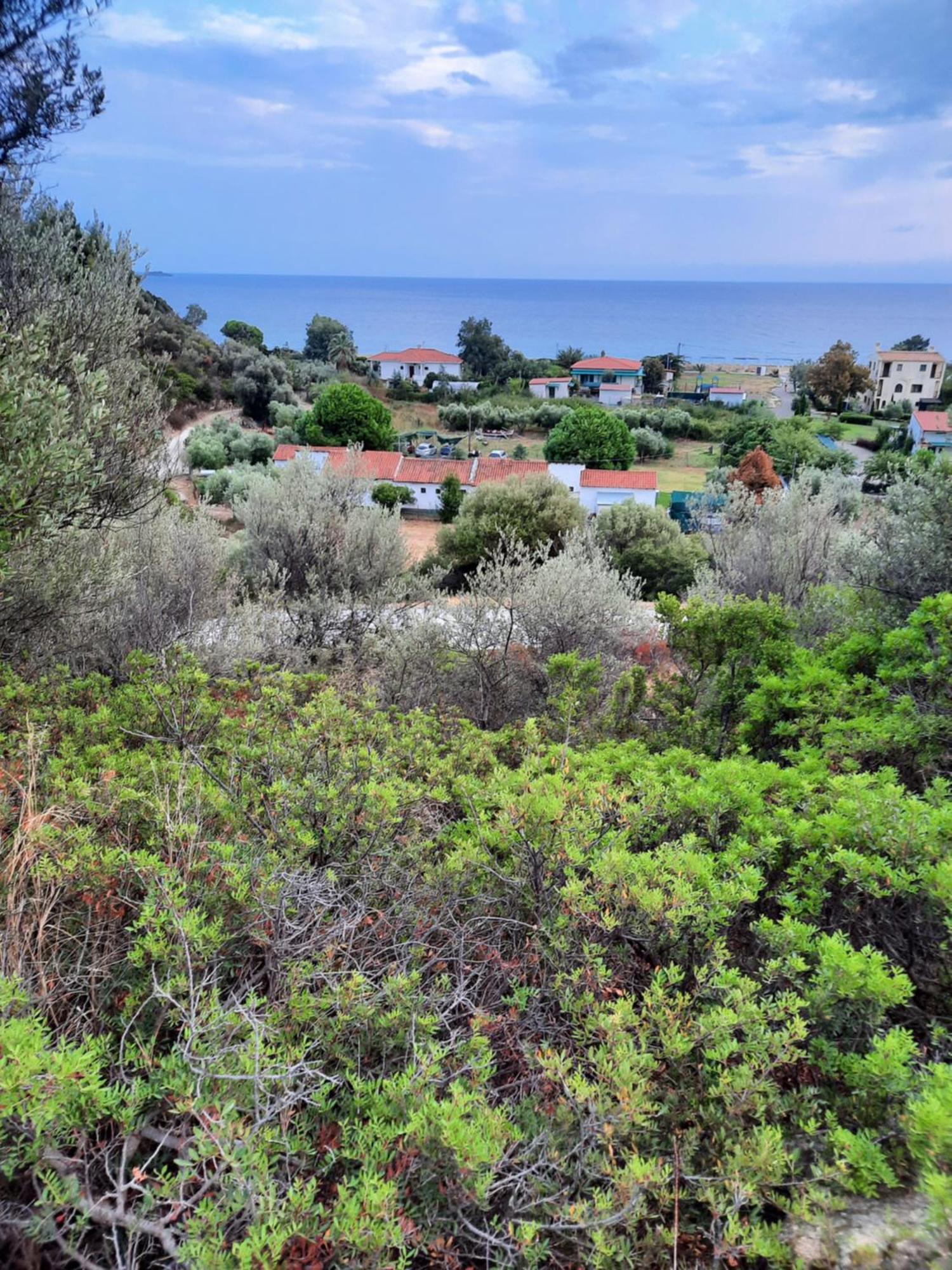 Bungalows Anestis Τορώνη Εξωτερικό φωτογραφία