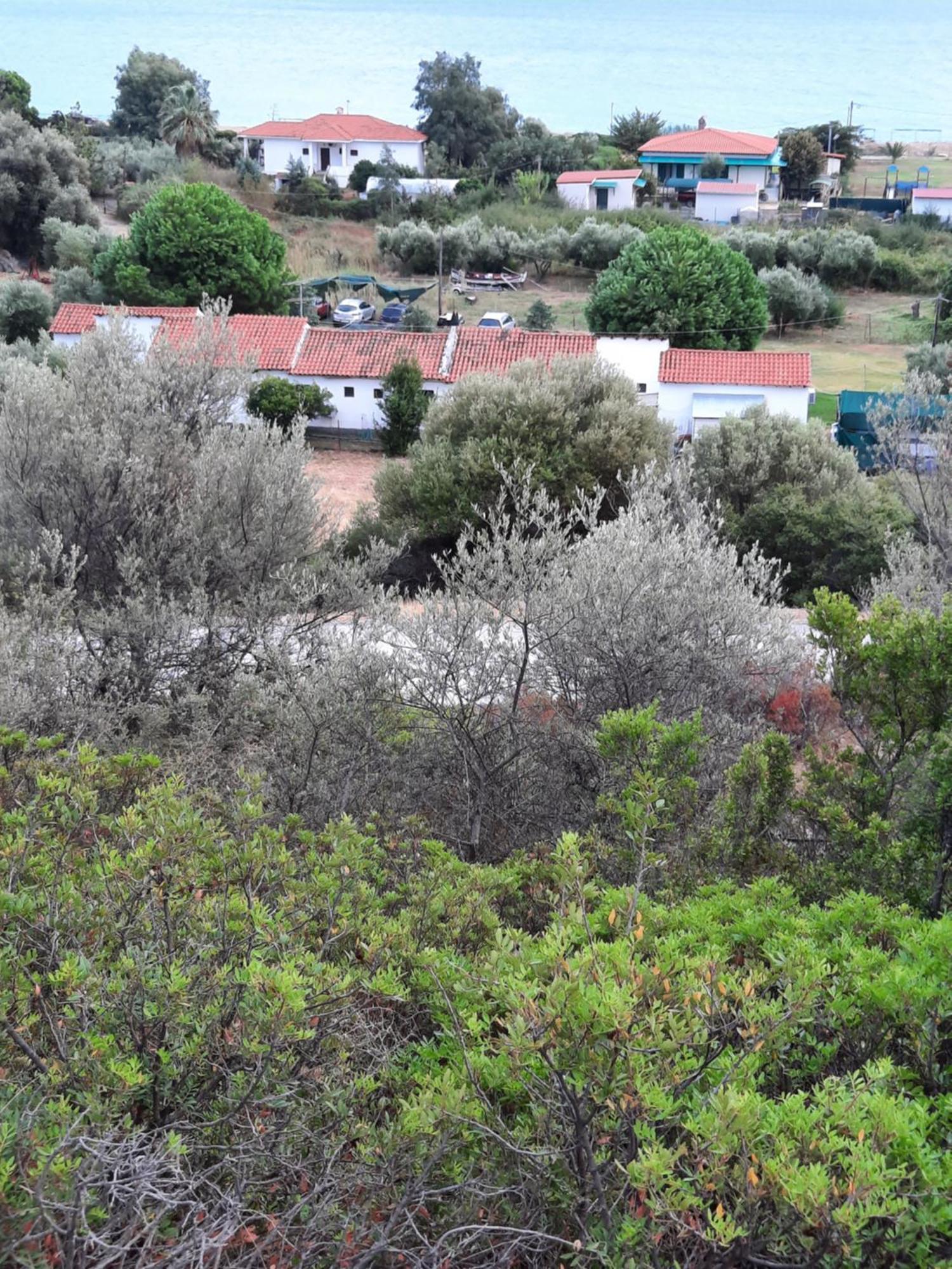 Bungalows Anestis Τορώνη Εξωτερικό φωτογραφία